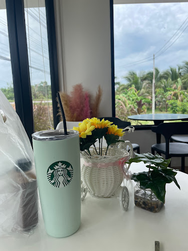 Comentarii opinii despre OMC