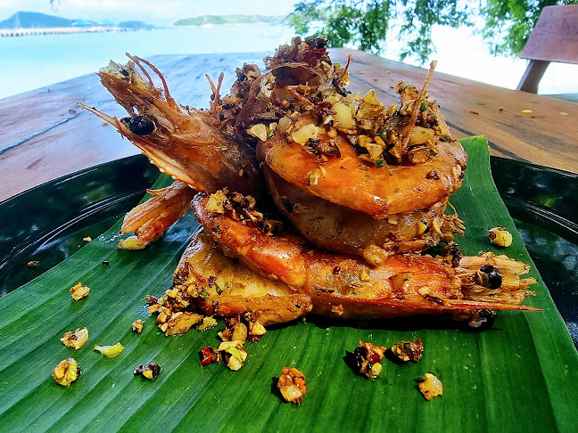 นิกิต้า