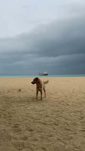 หน้าร้านสุดเขตทะเลเผาติดทะเล ม.12 จอมเทียน เมืองพัทยา อำเภอบางละมุง ชลบุรี 20150