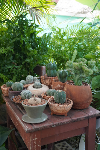 Brew Is Bliss - การบริการอาหารและที่พัก