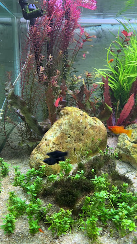 16 ถ. กระบี่ ตำบลตลาดเหนือ อำเภอเมืองภูเก็ต ภูเก็ต 83000