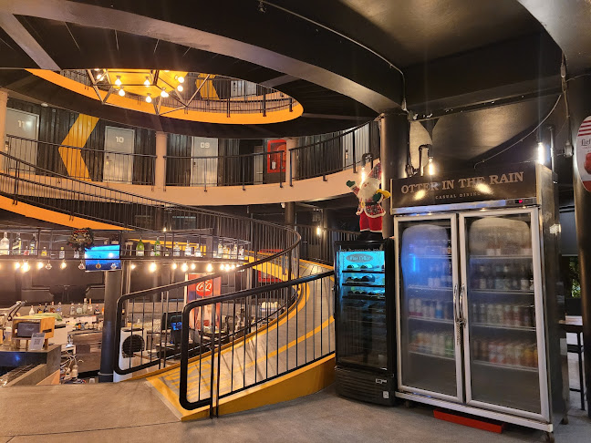 Otter in the rain - เมือง