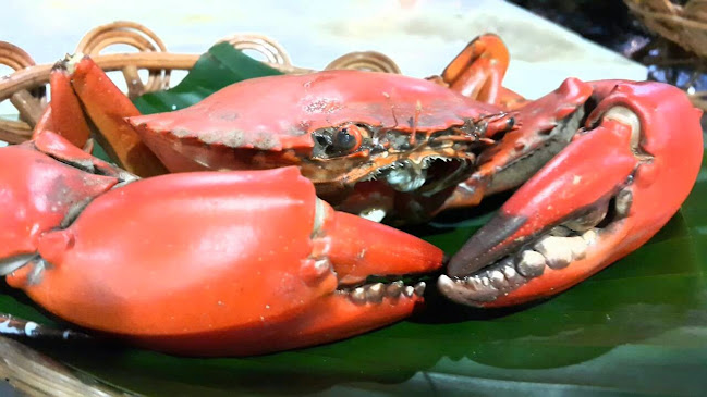 ร้านอาหาร กุ้งเผา 2