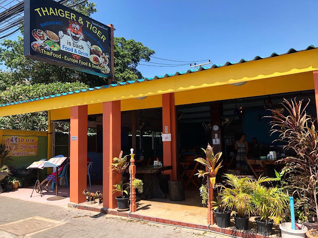 Thaiger & Tiger