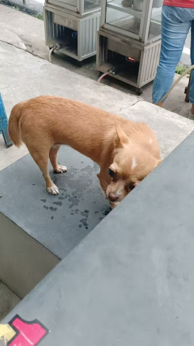 Opinii despre ร้านกาแฟโบราณป้ายแดง สข๒๕๕๕ în อำเภอหาดใหญ่ - การบริการอาหารและที่พัก