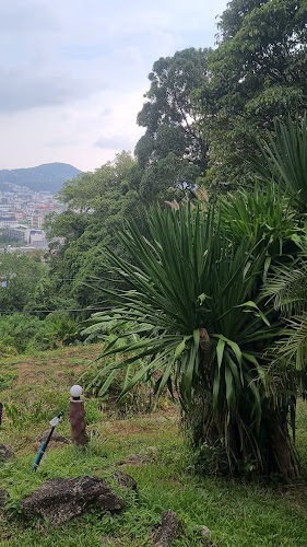 Comentarii opinii despre No.6 Restaurant Up The Hill