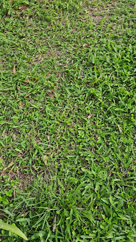 G265+J4H ตำบล บ่อผุด อำเภอเกาะสมุย สุราษฎร์ธานี 84320