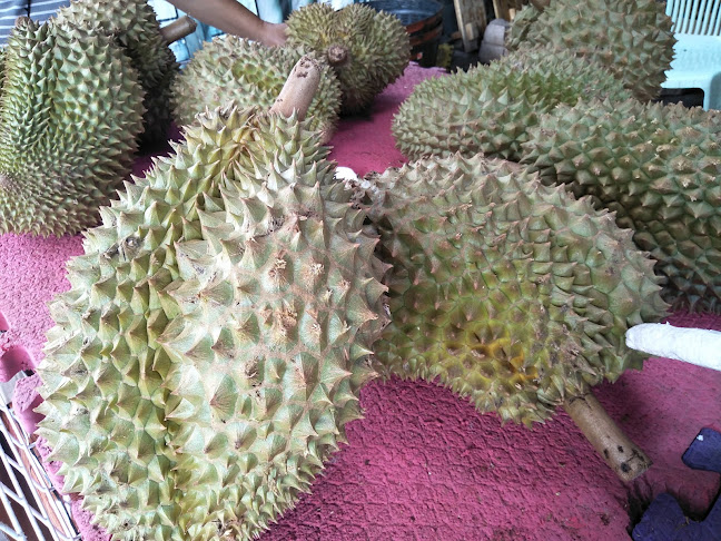 Comentarii opinii despre ตลาดสุรนารี