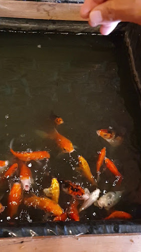 Midori Coffee Roastery