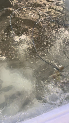 นินจาหมูกระทะ พัทยา สาย3 ซอย3 Ninja BBQ Pattaya - อำเภอบางละมุง