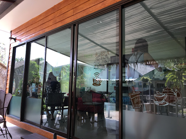 Comentarii opinii despre TREE&TEA