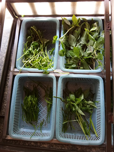 ร้านส้มตำหลวงทีป - การบริการอาหารและที่พัก