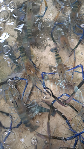 รวมทะเลพิดโลก - อำเภอเมืองพิษณุโลก