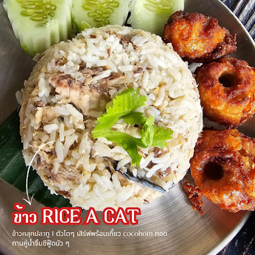 155 1 ถนน อนุสรณ์อาจารย์ทอง อำเภอหาดใหญ่ สงขลา 90110