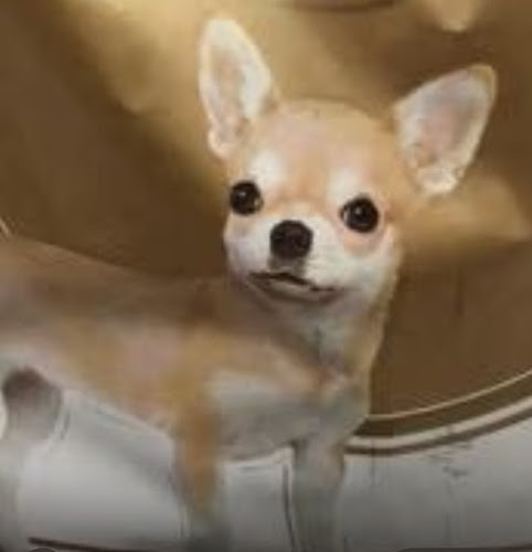 256 45 ม.5 ซอย 7 เมืองพัทยา อำเภอบางละมุง ชลบุรี 20150