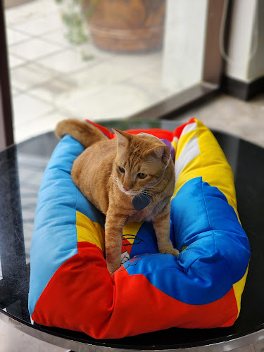 76 ต้นสน ซอย 6 ตำบล ปากเกร็ด อำเภอปากเกร็ด นนทบุรี 11120