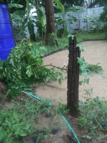 เสี่ยท๊อปบ้านสวน - พรานกระต่าย