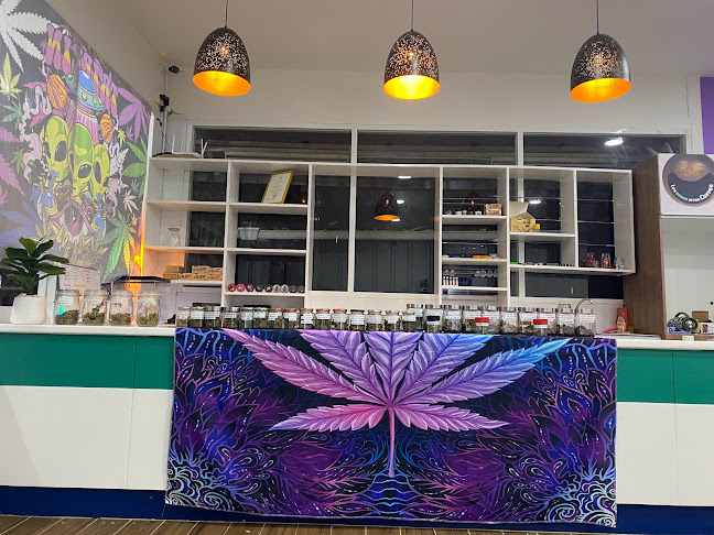 Two Wheels coffee & Scooter for rent