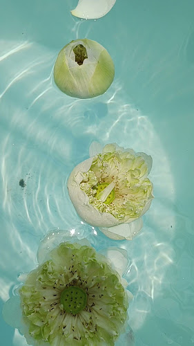 Ole Bar - อำเภอเมืองภูเก็ต