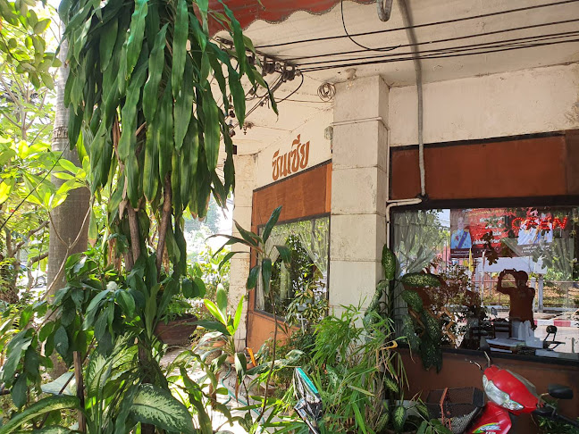 ซินเซีย