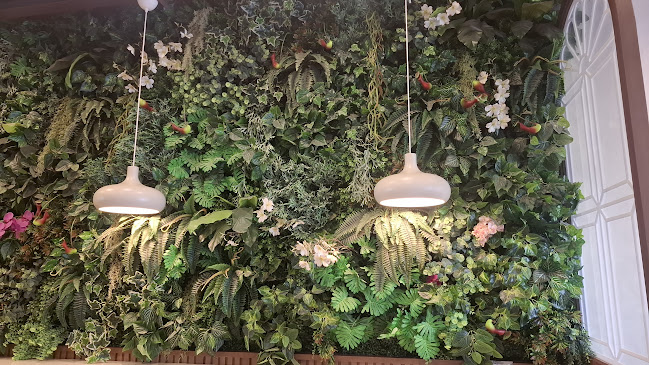 อเมซอนแยกอำเภอ