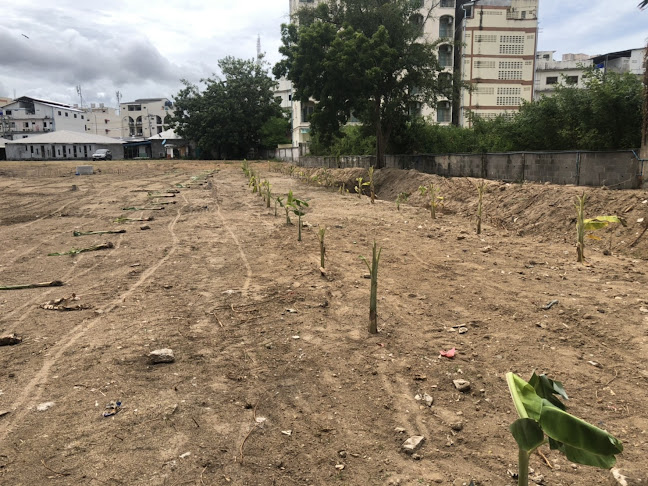 Comentarii opinii despre Action Street