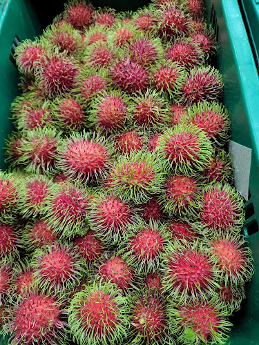 ตำบลพระปฐมเจดีย์ อำเภอเมืองนครปฐม นครปฐม 73000