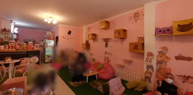 Neko Cat Cafe
