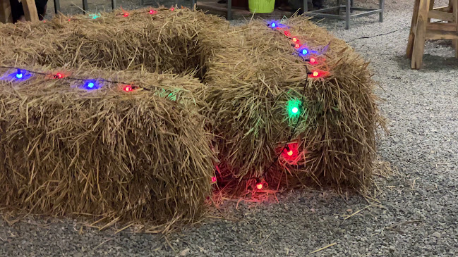 แจ่วฮ้อนโรลไฟ - การบริการอาหารและที่พัก