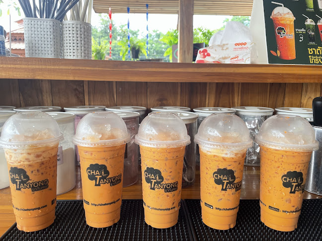 ชาตันหยง (เทพทองค้าไม้) - เมือง