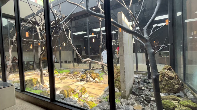 รีฟิล คอฟฟี - การบริการอาหารและที่พัก