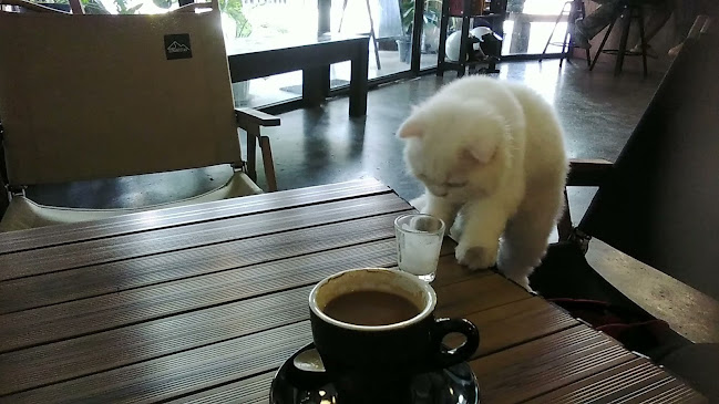 Opinii despre SongSarn(ส่งสาร) Coffee & Home Roaster în อำเภอเมืองอุบลราชธานี - การบริการอาหารและที่พัก