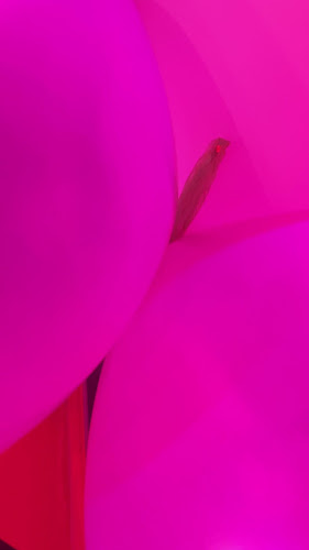 Comentarii opinii despre Hookup Corner