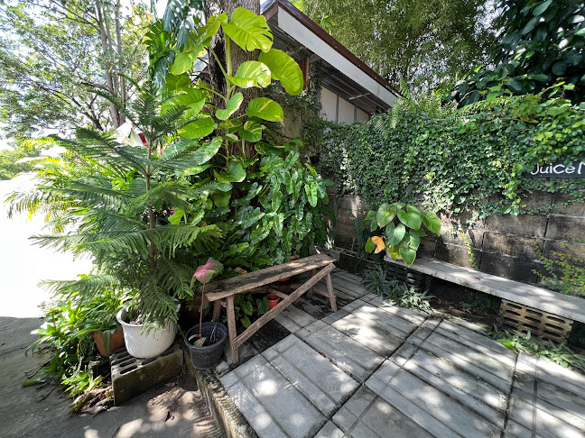 Comentarii opinii despre Juice Me