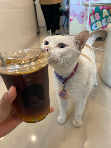 Opinii despre COFFEE HOUSE เฮ้ย…กาแฟ în อำเภอบางละมุง - การบริการอาหารและที่พัก