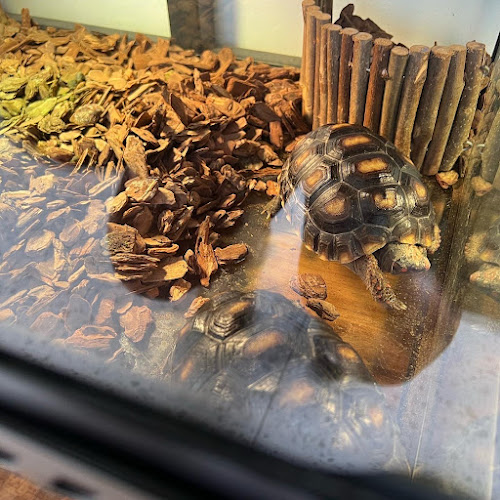 ถ. เจ้าฟ้าตะวันตก ตำบล ฉลอง Mueng, ภูเก็ต 83130