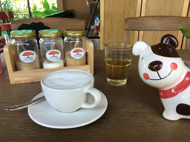 206/1 หมู่ที่ 4 ถนนตรีรีตน์ จันทนิมิต เมือง จันทบุรี 22000