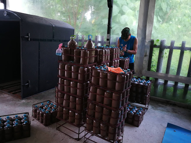 ร้านอาหารดาบกิจ