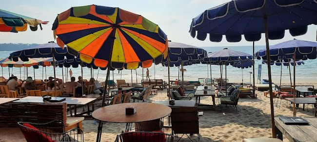 Comentarii opinii despre Beach Pig