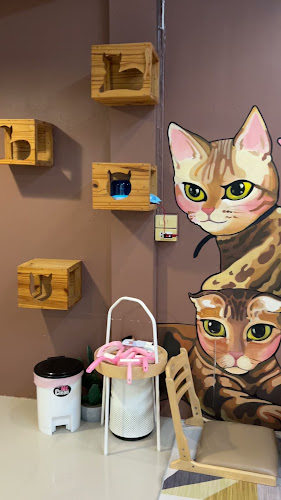 Cat cafe By Prosper. - อำเภอเมืองนครปฐม