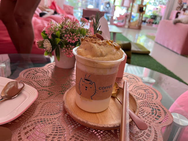 Opinii despre Neko Cat Cafe în Phuket - การบริการอาหารและที่พัก