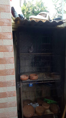 ซอส โดย เชฟ วอง - อำเภอปากเกร็ด