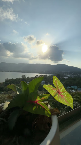 คาเฟ่ เดอะ ฮิลล์ - อำเภอเกาะสมุย