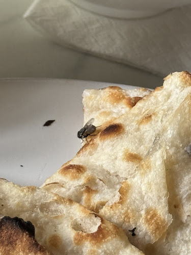 Next to Pizza Company, 218/2 ถนนเลียบชายหาด เมืองพัทยา อำเภอบางละมุง ชลบุรี 20260