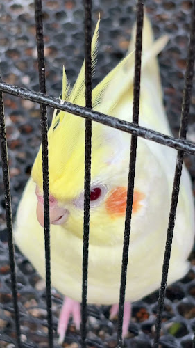 Comentarii opinii despre ก๋วยเตี๋ยวเรือชูเจริญChoo Ja Roean Boat Noodles