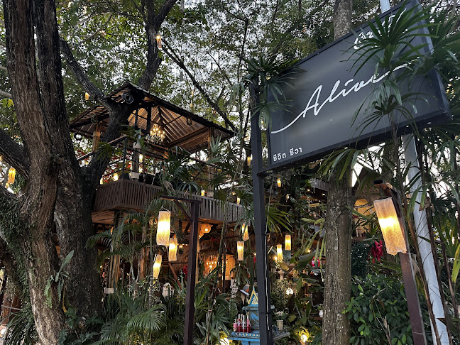 Opinii despre Alive Cheewit Cheewa în อำเภอหาดใหญ่ - การบริการอาหารและที่พัก