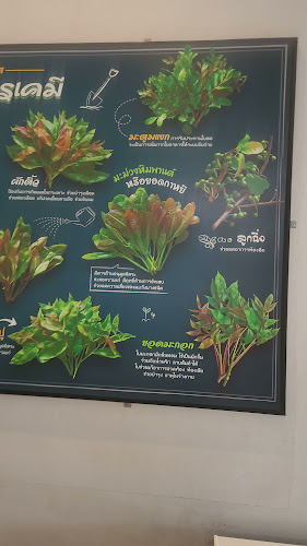 ขนมจีนจี้ลิ่ว บ๊ะจ่างภูเก็ต - อำเภอถลาง