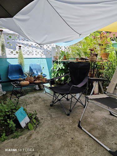 Brew Is Bliss - การบริการอาหารและที่พัก