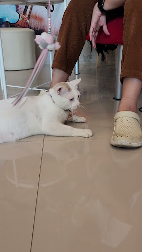 COFFEE HOUSE เฮ้ย…กาแฟ - การบริการอาหารและที่พัก