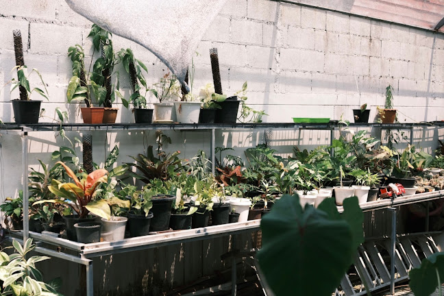 Agape​ Coffee​ อากาเป้​ คอฟฟี่